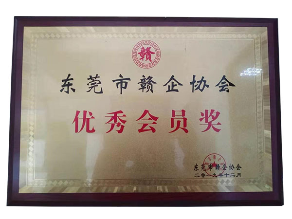 “優(yōu)秀會(huì )員獎”榮譽(yù)證書(shū)